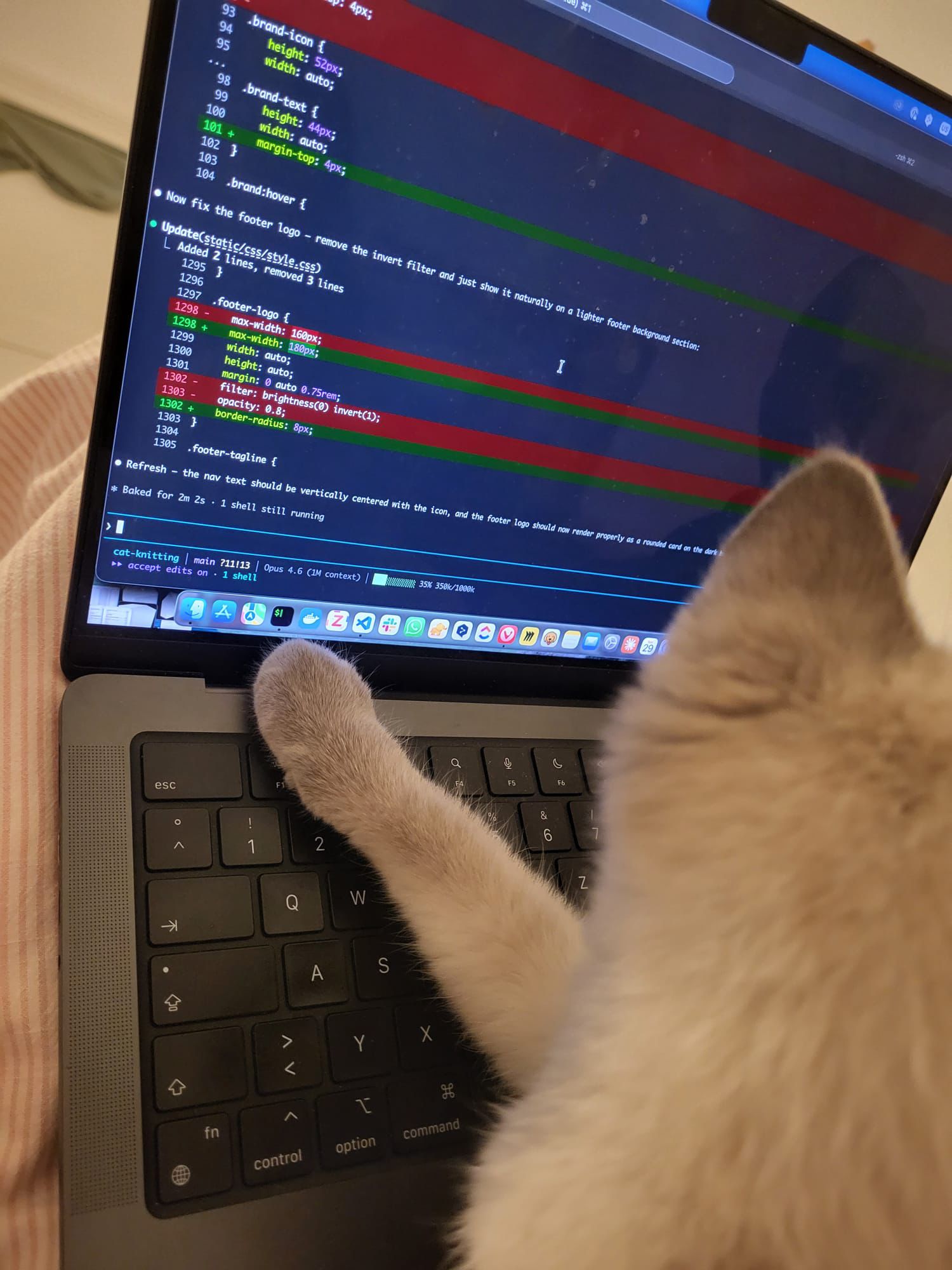 Mochi the cat resting a paw on a laptop keyboard with code visible on screen